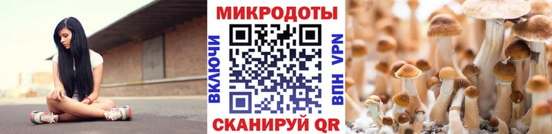 Псилоцибиновые грибы Cubensis Боготол