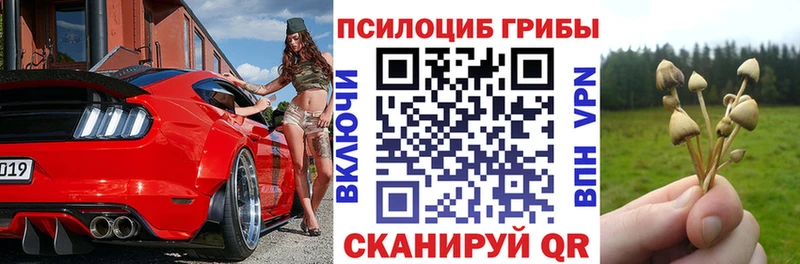 купить наркотики сайты  Боготол  Псилоцибиновые грибы MAGIC MUSHROOMS 