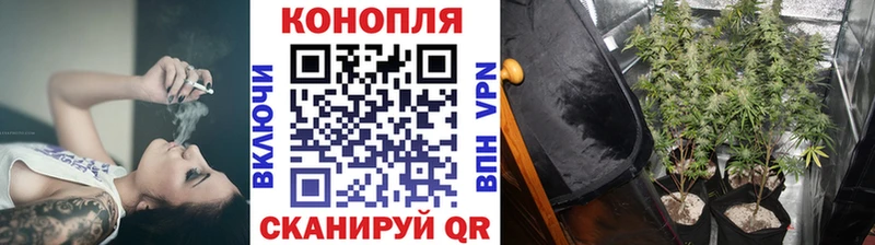 Бошки Шишки тримм  Боготол 